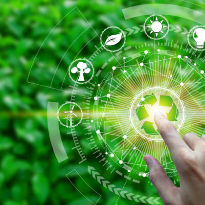 El impacto de las devoluciones en el medio ambiente