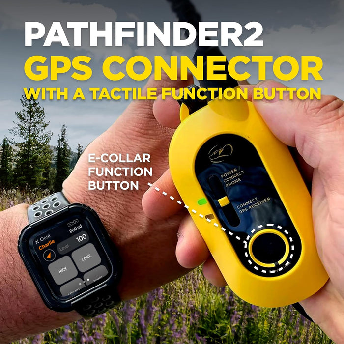 GPS Dog Training Collar Dogtra Pathfinder 2 for Medium & Lar GRADO B