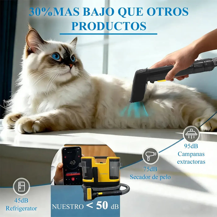 ASPIRADORA LIMPIAALFOMBRAS 1800ML 800ML 22000PA 850W 5 CABEZALES GRADO B