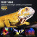 PROYECTOR LED ANDROID WIFI PROFESIONAL MINI PORTATIL CON 2 GAMEPADS 12000LM LED 4K 1080P BLANCO GRADO A - TiendaKomet México