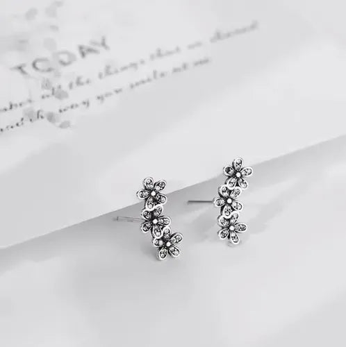 ARETES 299052 COLOR PLATEADO ARO PLATEADO 2 PZS