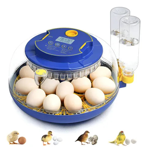 Incubadora Automática para 12 Huevos con Luz LED y Control de Humedad | Grado B