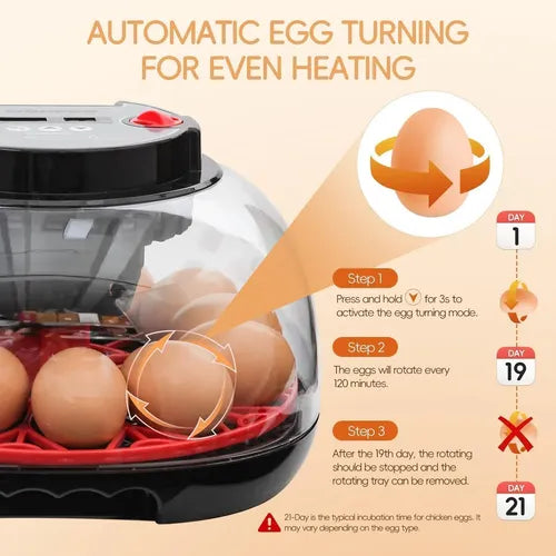 Incubadora Automática para 12 Huevos con Luz LED y Control de Humedad | Grado B