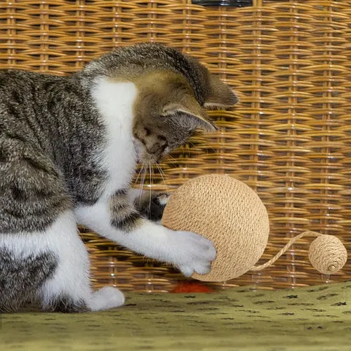 Accesorio de Bola Rascadora Ondulada para Gatos, Sisal Dorado | Grado B