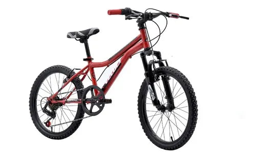 Bicicleta Veloci Born To Ride Rodado 20 Rojo GRADO B