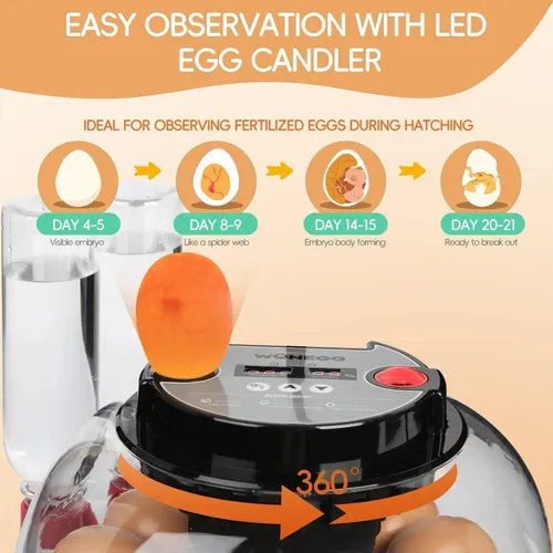 Incubadora Automática para 12 Huevos con Luz LED y Control de Humedad | Grado B