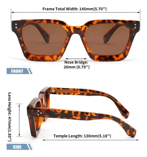 FEISEDY GAFAS DE SOL B0117 BROWN DEGRADED TEA CRYSTAL UV400 NO LEOPARD ACETATE FIBER LIGHT BROWN