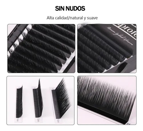 Pestañas Lashprofessor Volume Lash Negras Curvatura C de 8 a 12 mm | Grado B