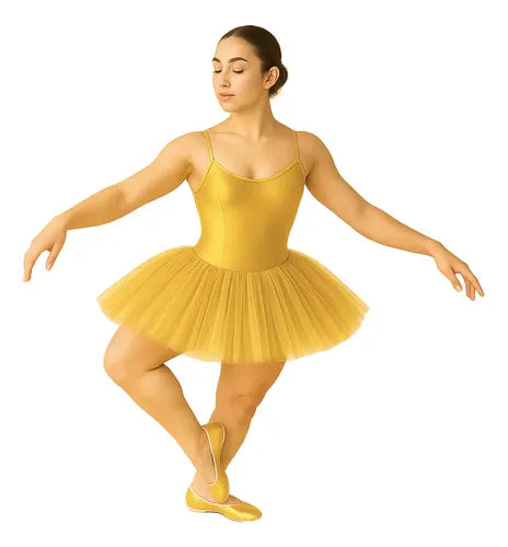 Balerinas Chemisse Zapatilla Ballet Baile y Disfraz | Grado B