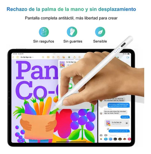 Lápiz Óptico Stylus para iPad con Carga Rápida y Magnético | Grado B