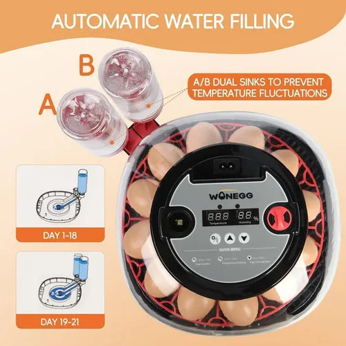 Incubadora Automática para 12 Huevos con Luz LED y Control de Humedad | Grado B