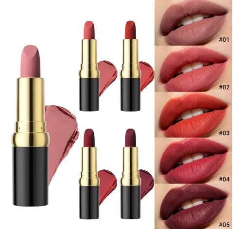 Lápiz Labial de Textura Brillante de Terciopelo Mate | Grado B