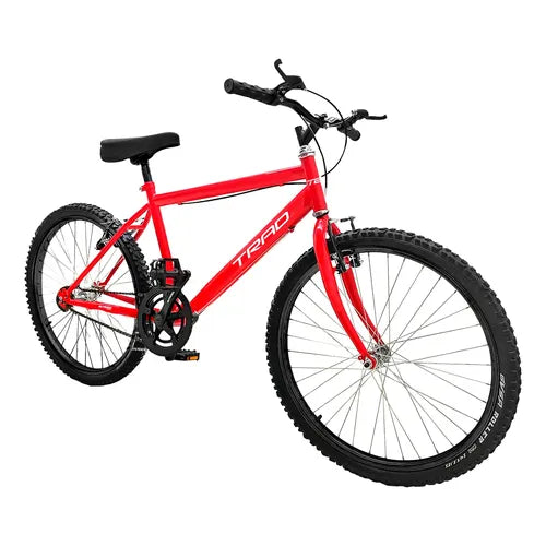 Bicicleta Veloci Born To Ride Rodado 20 Rojo GRADO B